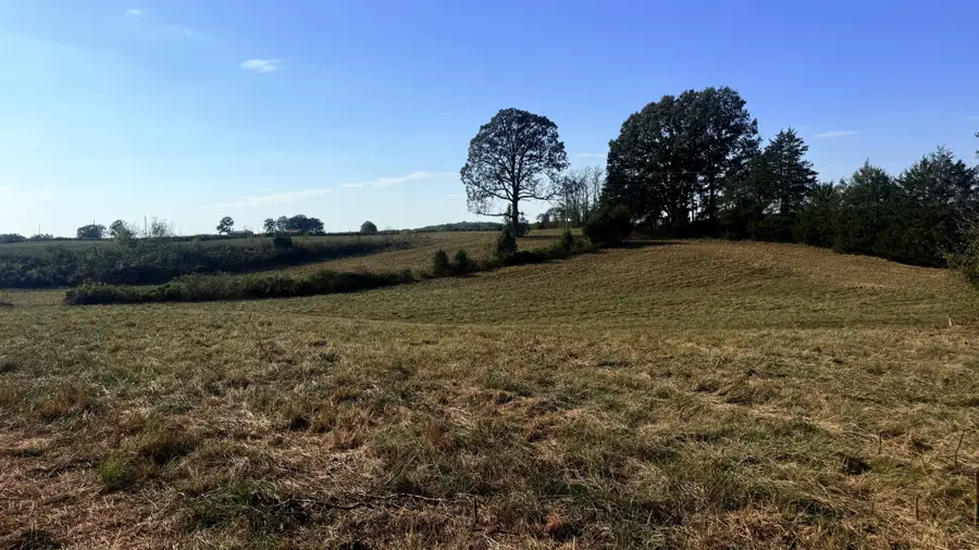 0 Essary Rd, Wildersville, TN 38388 - #3
