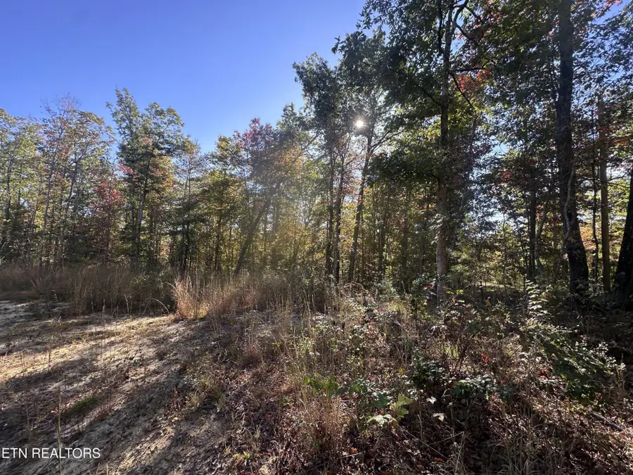 137 Laurel Rd, Jamestown, TN 38556 - #3