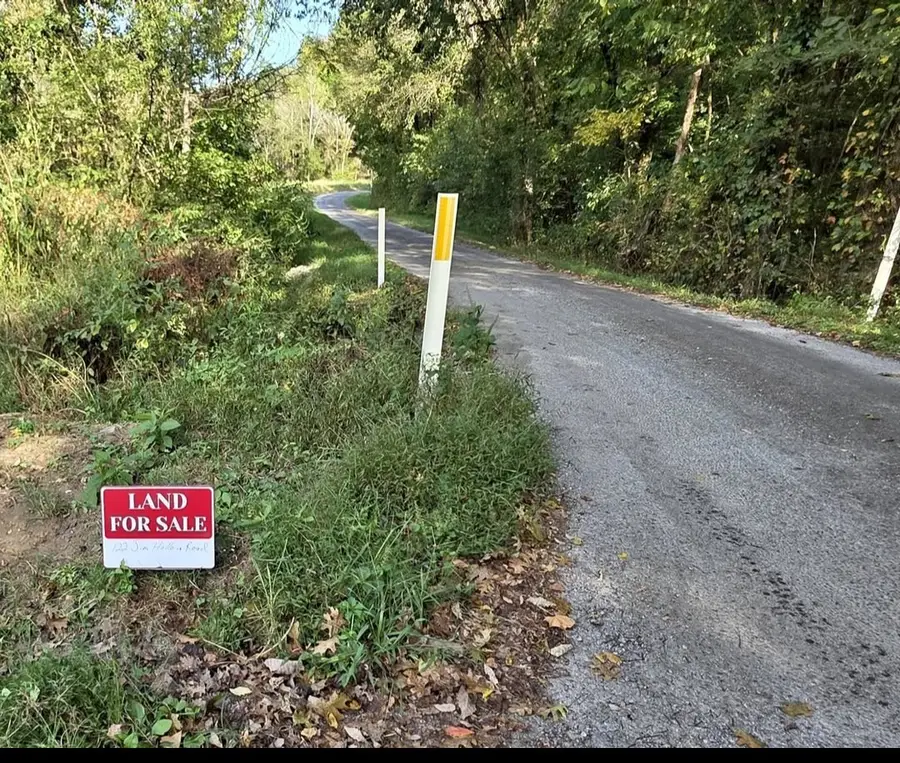 122 Jim Hollow Rd, Woodbury, TN 37190 - #2