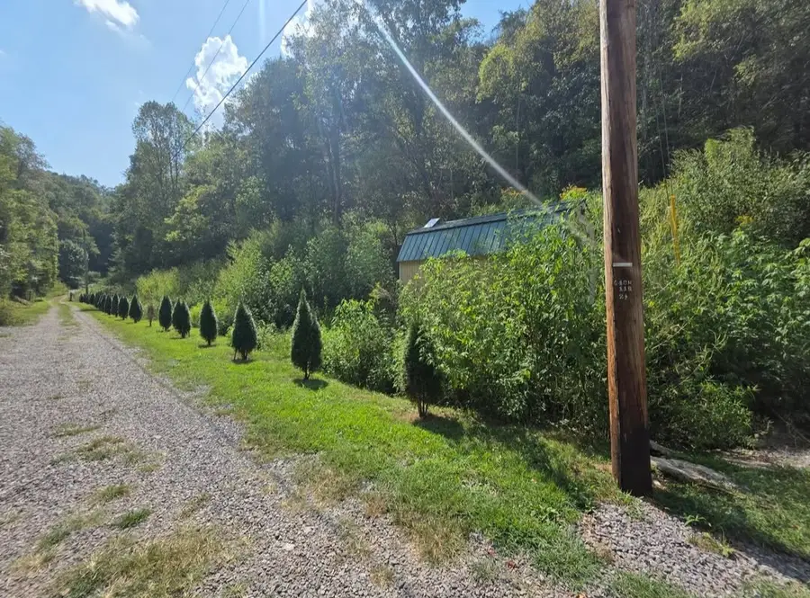 122 Jim Hollow Rd, Woodbury, TN 37190 - #3