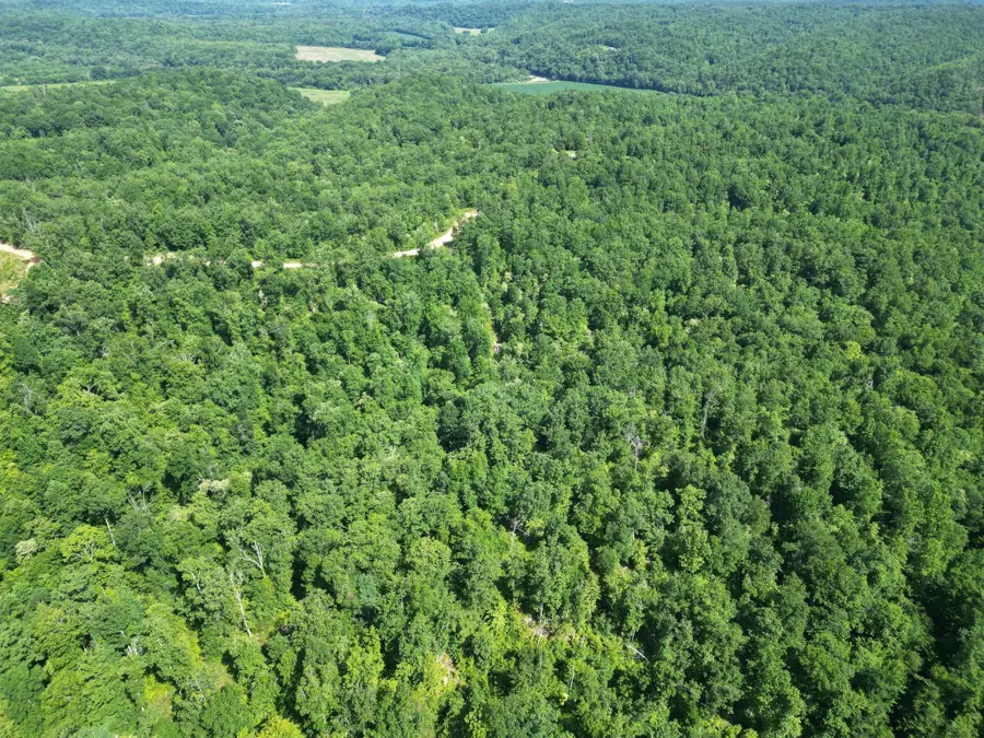 0B Black Bear Rd, Linden, TN 37096 - #3