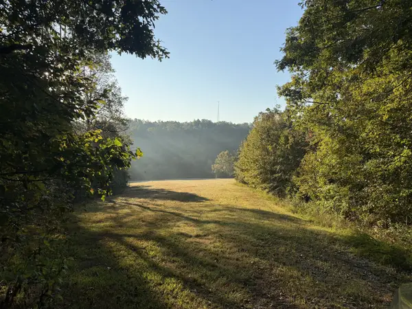 1 Caney Fork Rd, Fairview, TN 37062