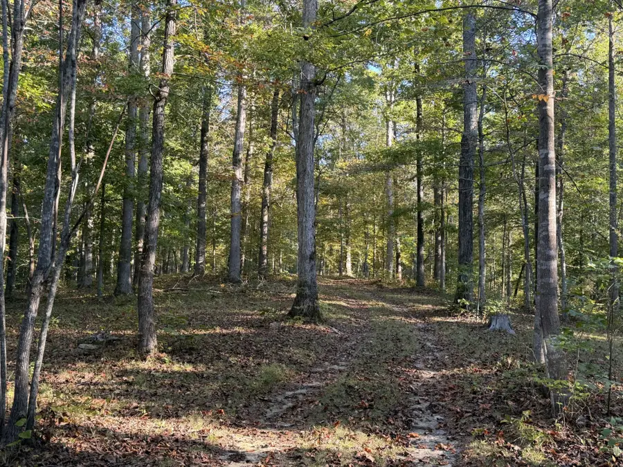 1 Caney Fork Rd, Fairview, TN 37062 - #3