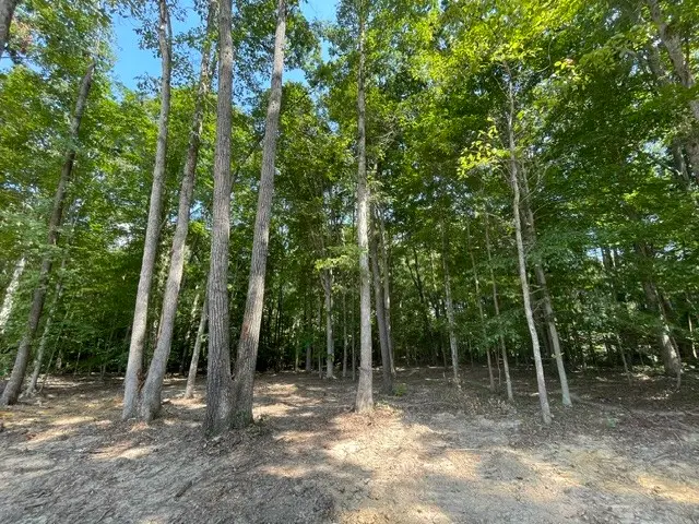 200 Beechwood Ct, Pegram, TN 37143 - #2