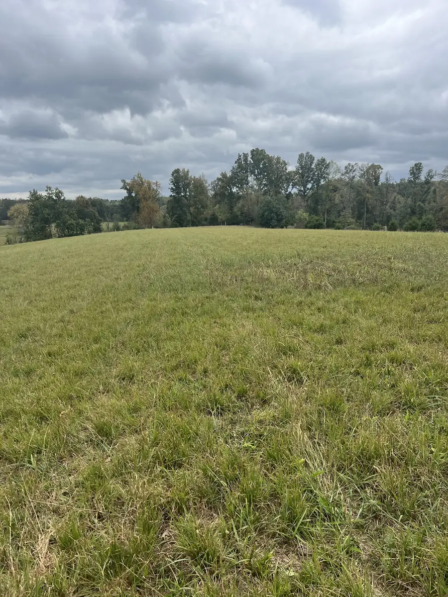 1425 Thompson Rd, Westmoreland, TN 37186 - #3