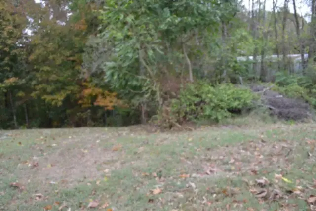 0 Cummins Ct, Celina, TN 38551 - #1