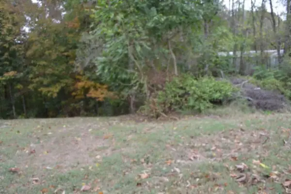 0 Cummins Ct, Celina, TN 38551