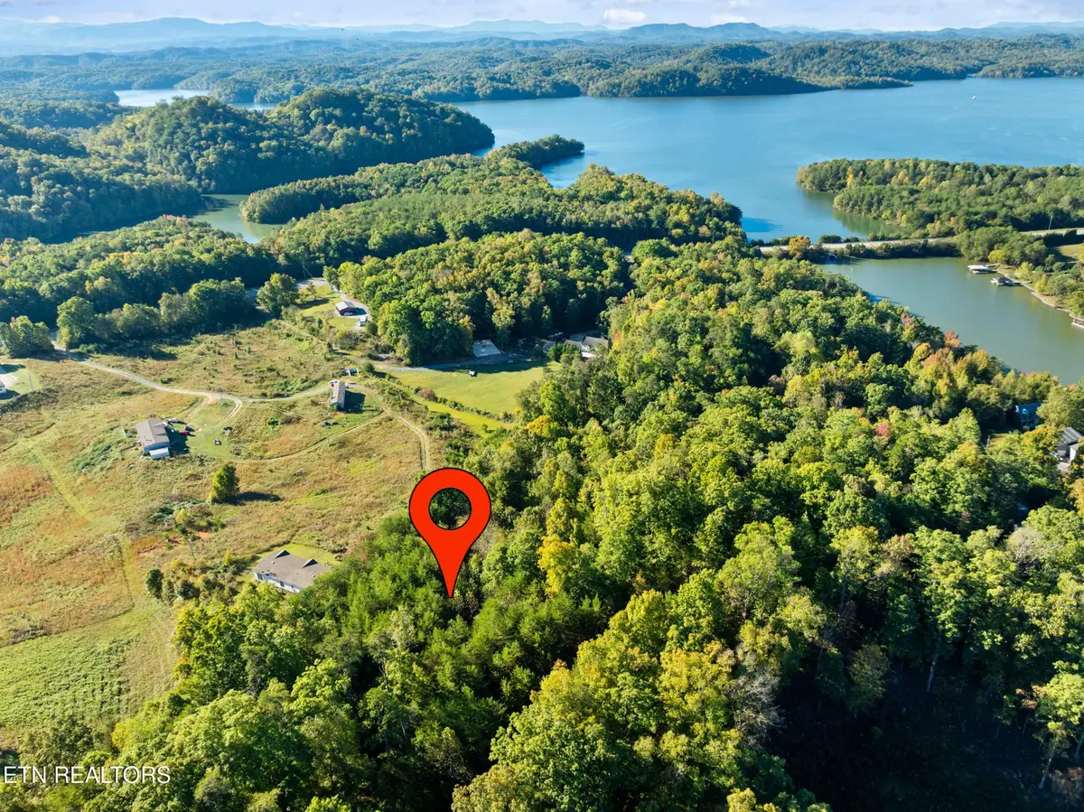 22 Culverts Cove, Maryville, TN 37801 - #1