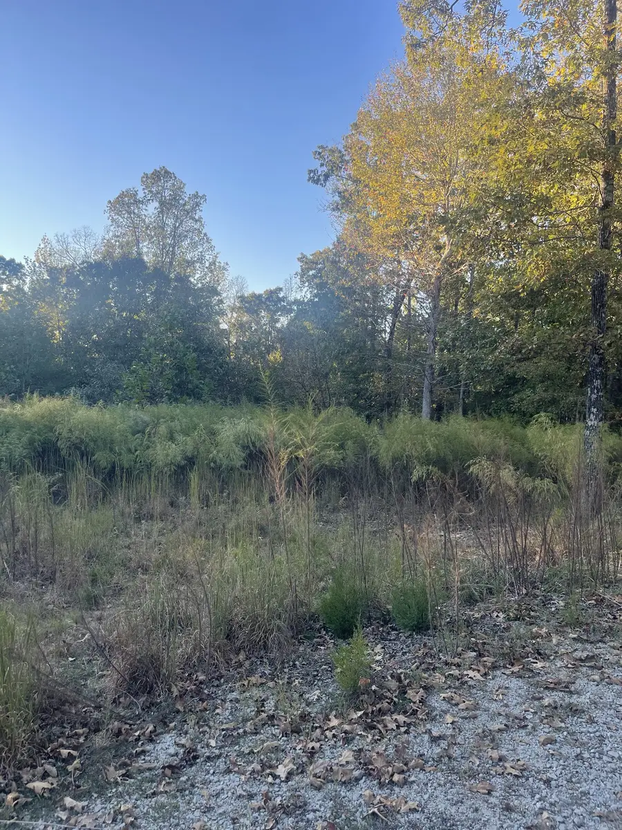 883 Pineview Rd, Lexington, TN 38351 - #2