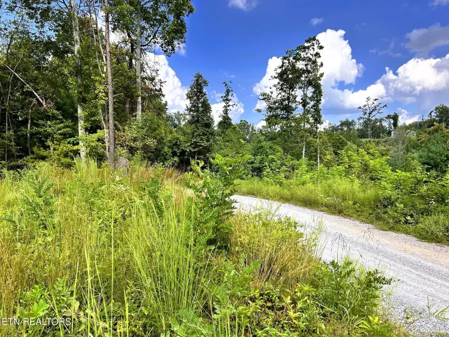 125 Chestnut Mountain Rd, Reliance, TN 37369 - #2