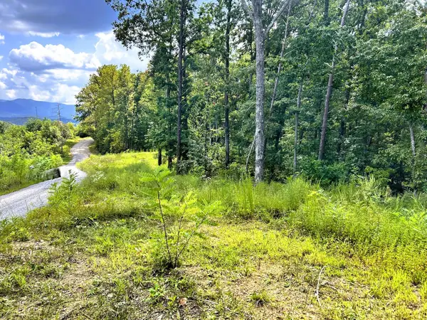 107125 Chestnut Mountain Road, Reliance, TN 37369