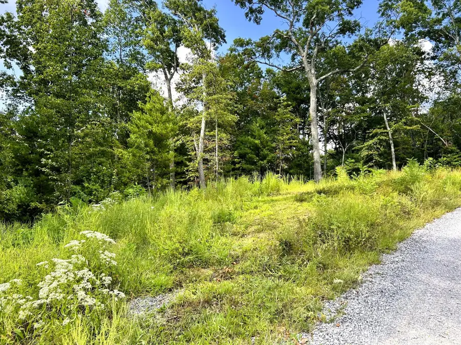 107125 Chestnut Mountain Road, Reliance, TN 37369 - #2