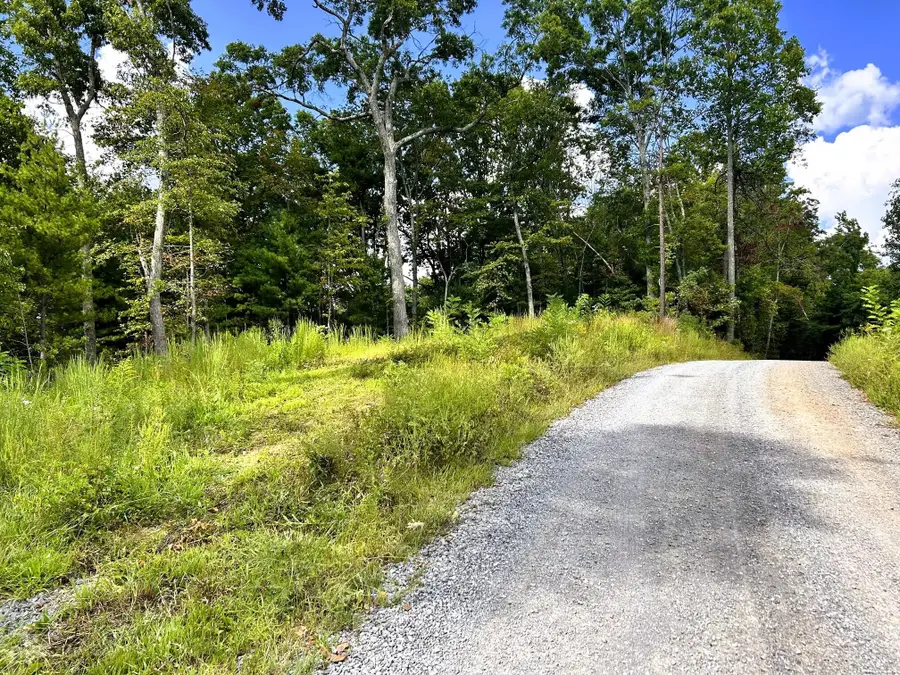 107125 Chestnut Mountain Road, Reliance, TN 37369 - #3