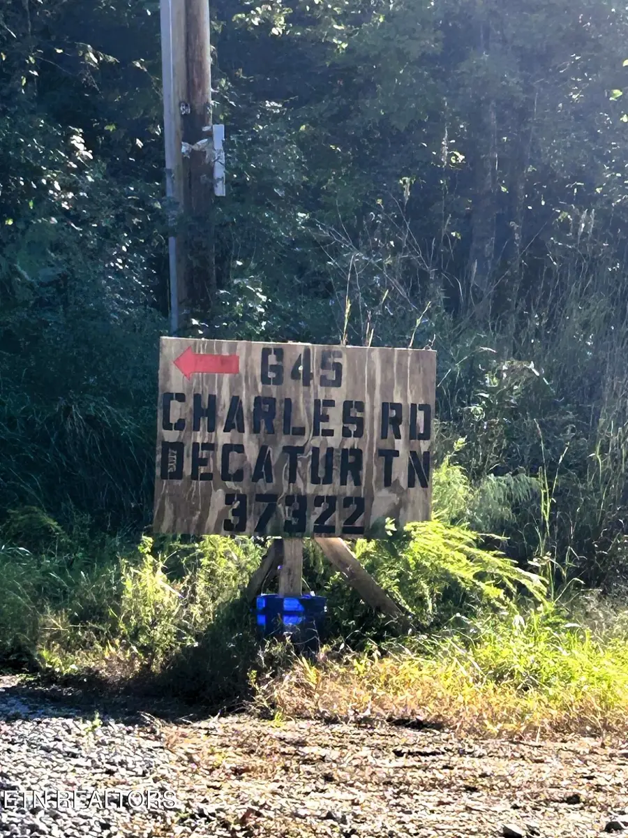 47 Charles Rd, Decatur, TN 37322 - #2