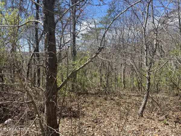 6 Hwy 127 North, Crossville, TN 38555