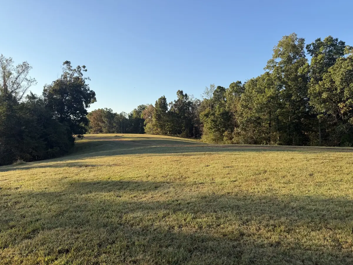 2 Caney Fork Rd, Fairview, TN 37062 - #1