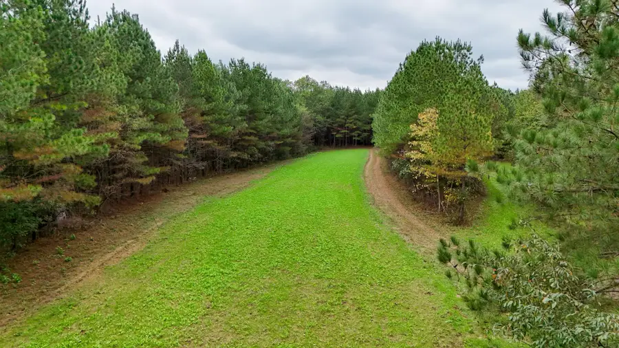 9062 Dry Creek Rd, Mount Pleasant, TN 38474 - #3