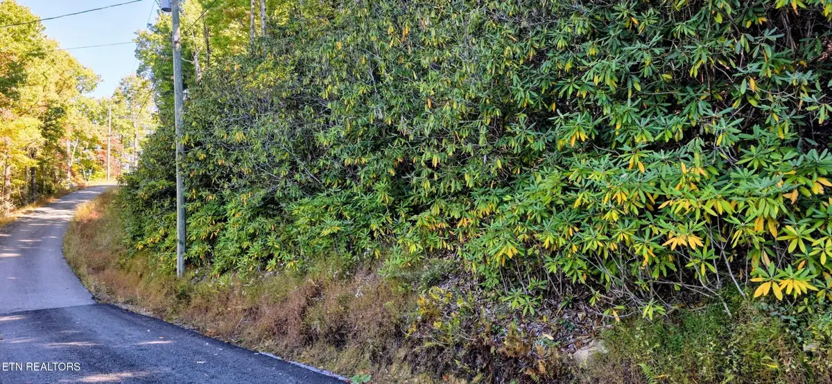 13 Overholt Tr, Sevierville, TN 37862 - #1
