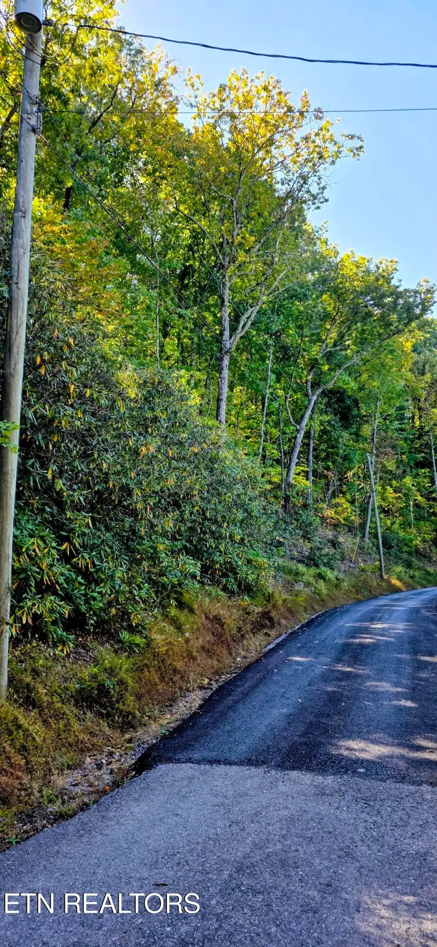 13 Overholt Tr, Sevierville, TN 37862 - #3