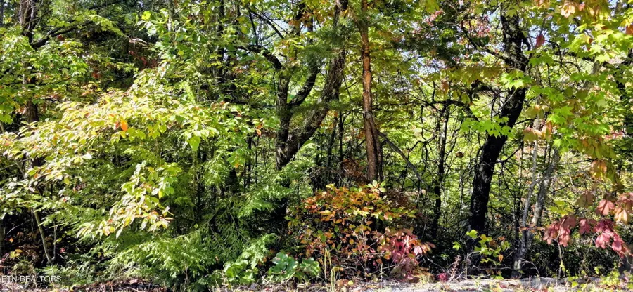 90 Mountain Blvd, Sevierville, TN 37876 - #2