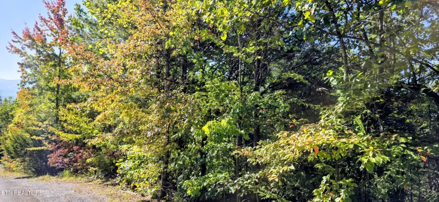 90 Mountain Blvd, Sevierville, TN 37876 - #3