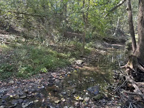 2542 W Mount Vernon Rd, Bethpage, TN 37022