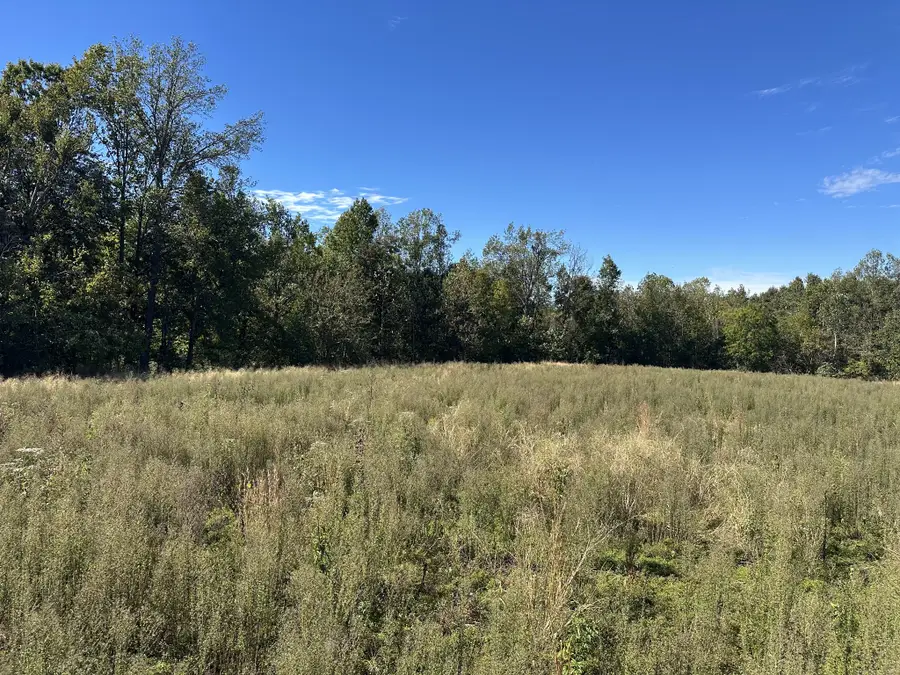 2542 W Mount Vernon Rd, Bethpage, TN 37022 - #3