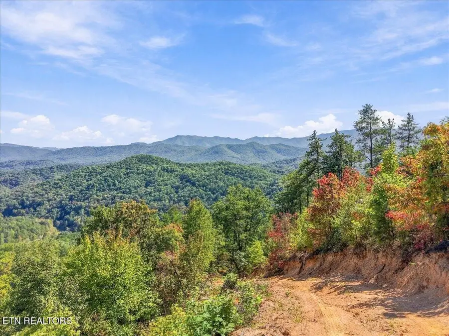 462 Middle Creek Rd, Cosby, TN 37722 - #3