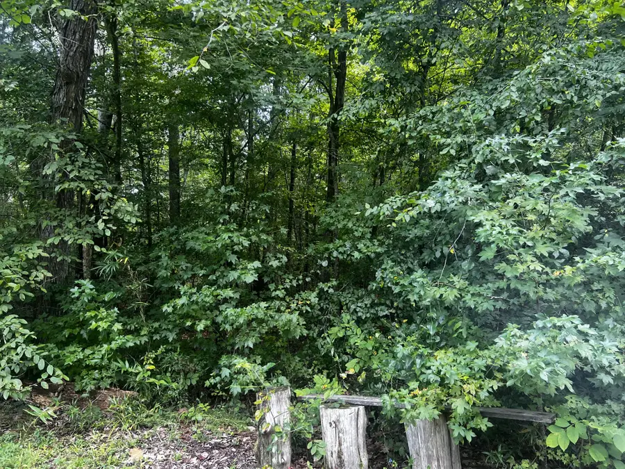 223 New Beginning Ln, Clifton, TN 38425 - #2