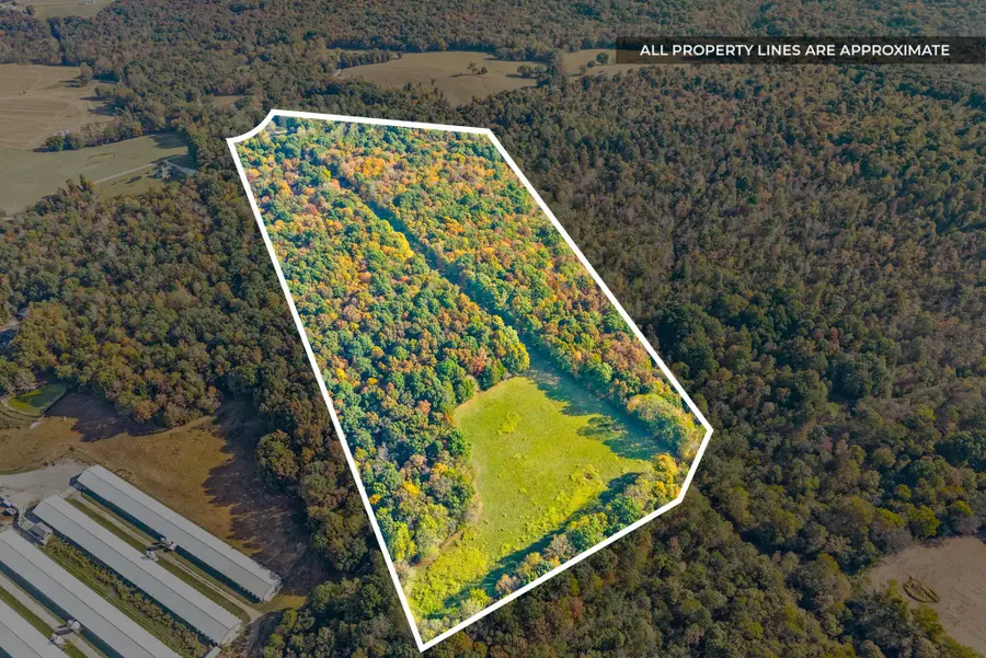16350 Froghop Rd, Hopkinsville, KY 42240 - #2