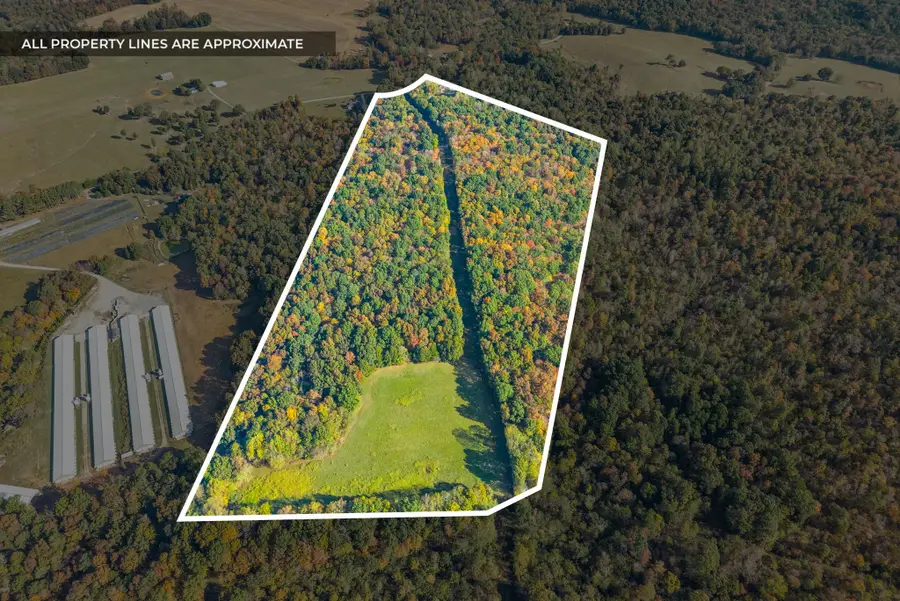 16350 Froghop Rd, Hopkinsville, KY 42240 - #3