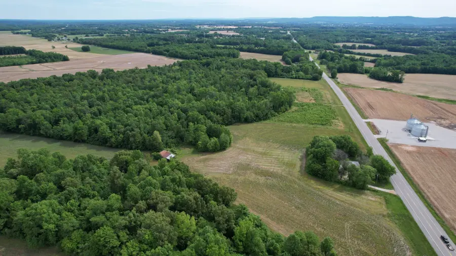 498B John Hunter Hwy, Elora, TN 37328 - #2