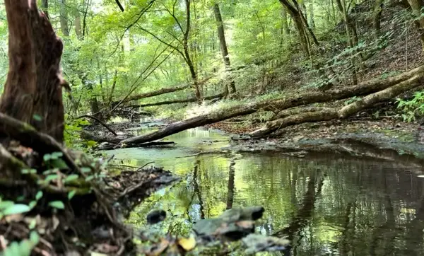 3261 Waterfall Creek Rd, Collinwood, TN 38450