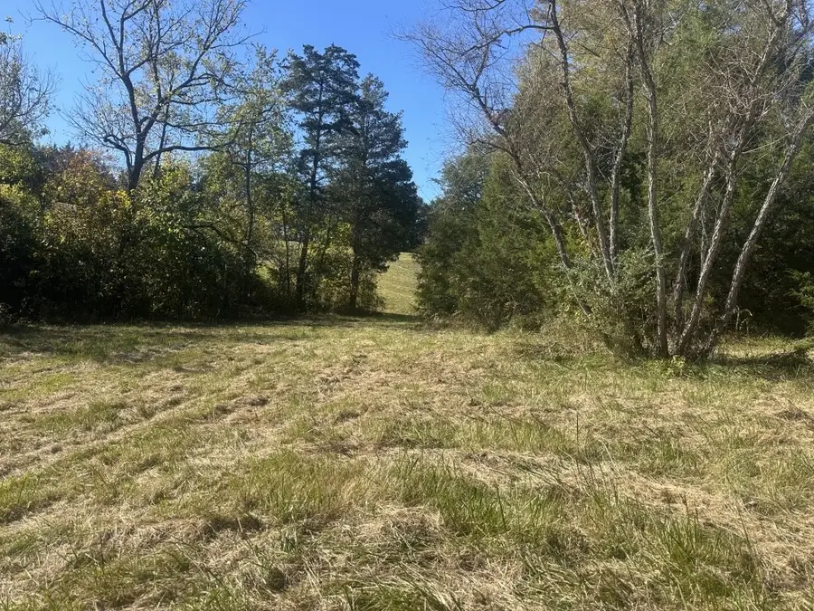 0 Mcginnis Road, Corryton, TN 37721 - #3