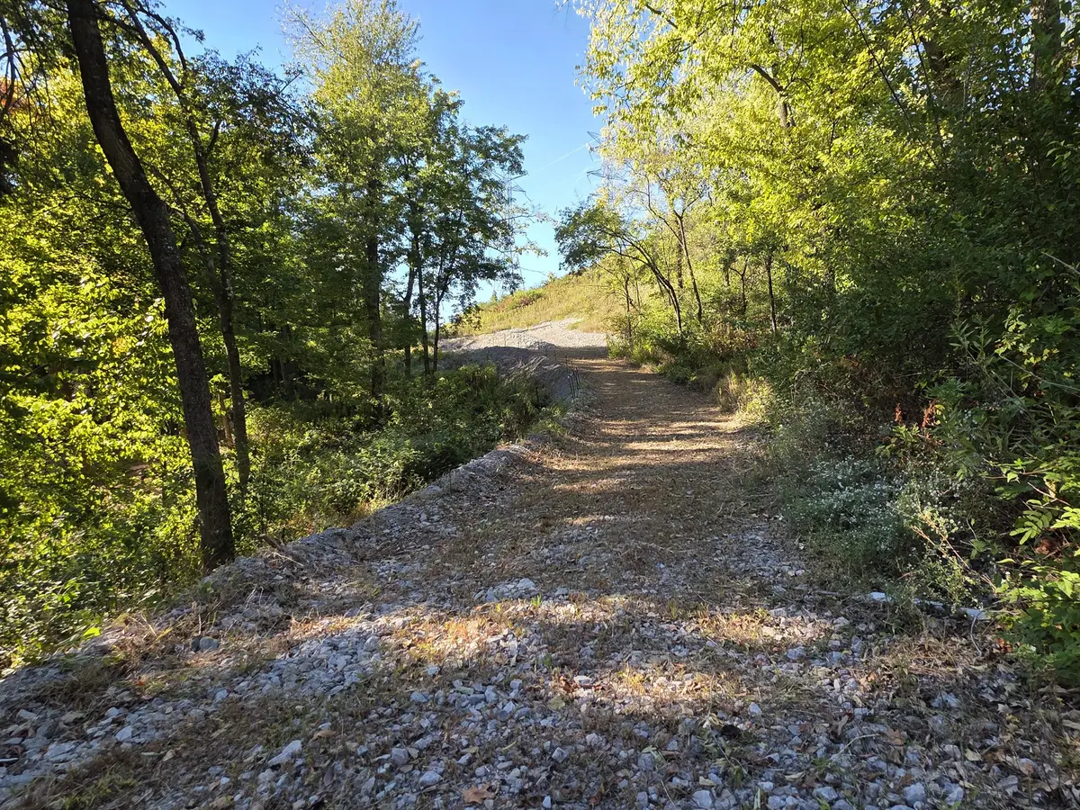 1765 Woodsong Dr, Brentwood, TN 37027 - #1