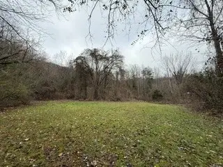 3059 Bogard Rd, Cosby, TN 37722 - #3