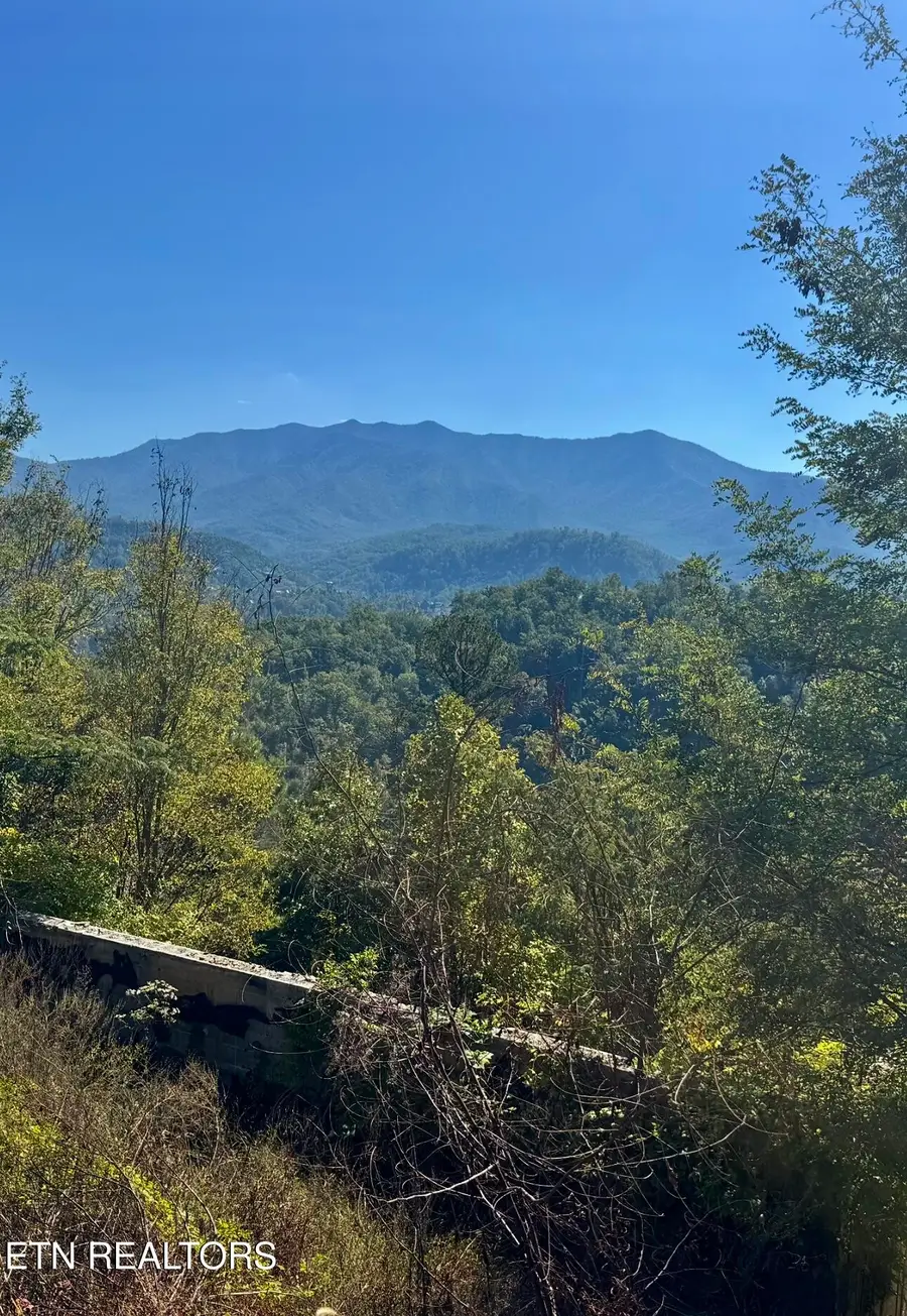 908 E End Court, Gatlinburg, TN 37738 - #3