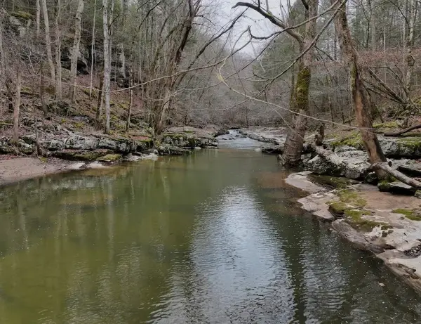 0 Hollow Creek Lane, Clarkrange, TN 38553