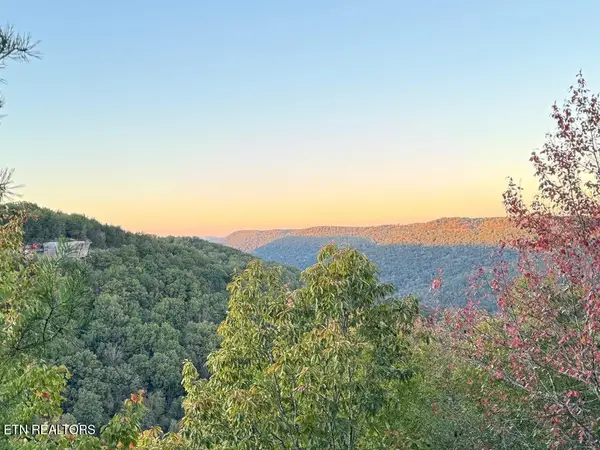 0 Panther Falls Rd, Wilder, TN 38589