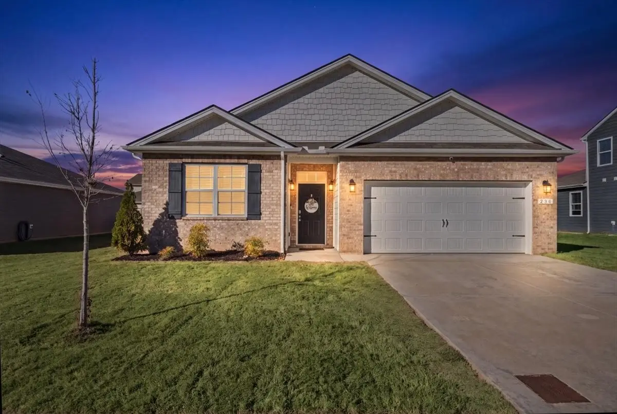 230 Addison Ave, Chapel Hill, TN 37034 - #1