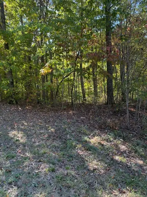 0 Tree Top Cr, Spencer, TN 38585 - #1