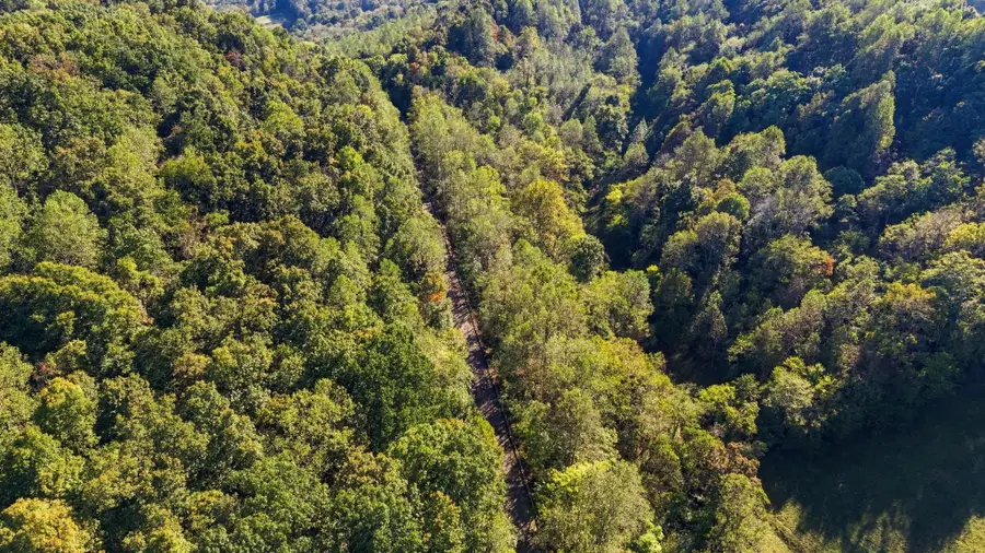0 John Barnes Rd, Cornersville, TN 37047 - #3