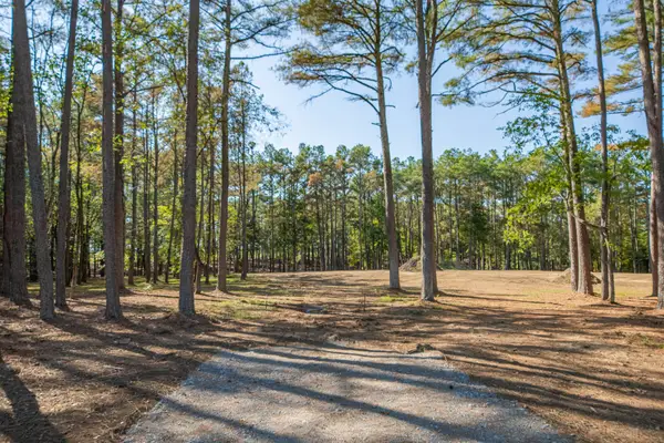0 Tom Rail Road, Santa Fe, TN 38482