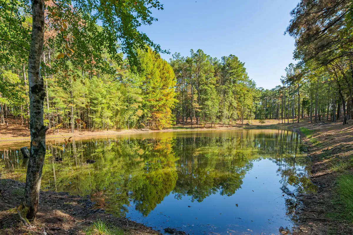 0 Beard Road, Santa Fe, TN 38482 - #1