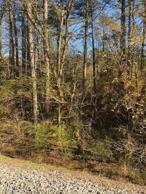 0 N Hwy 411, Chatsworth, GA 30705 - #1