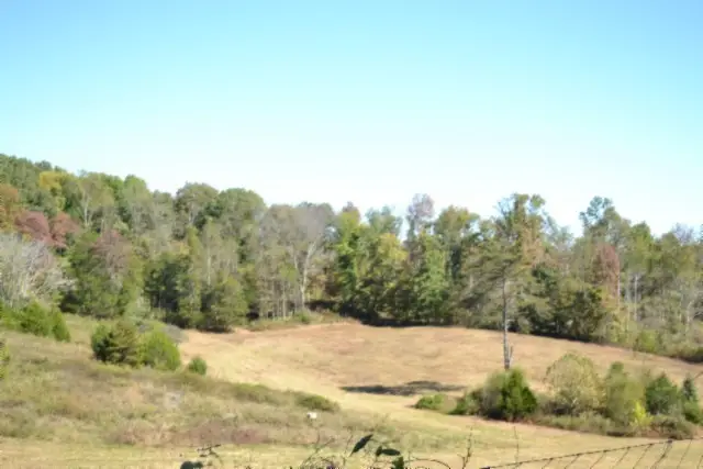 110 Bob Dennings Rd, Allons, TN 38541 - #2