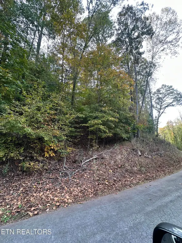 0 Wrights Ferry Rd, Louisville, TN 37777