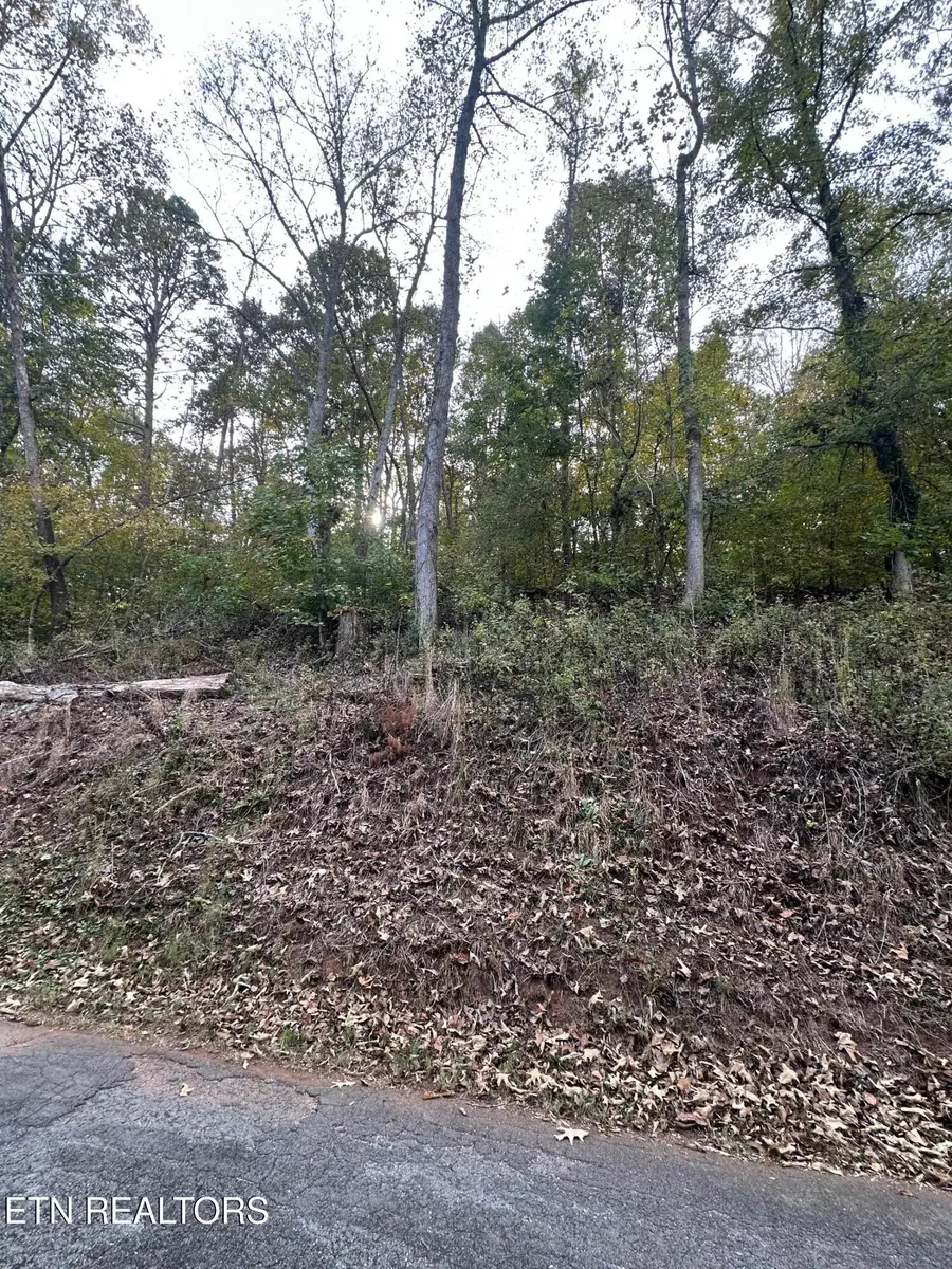 0 Wrights Ferry Rd, Louisville, TN 37777 - #3