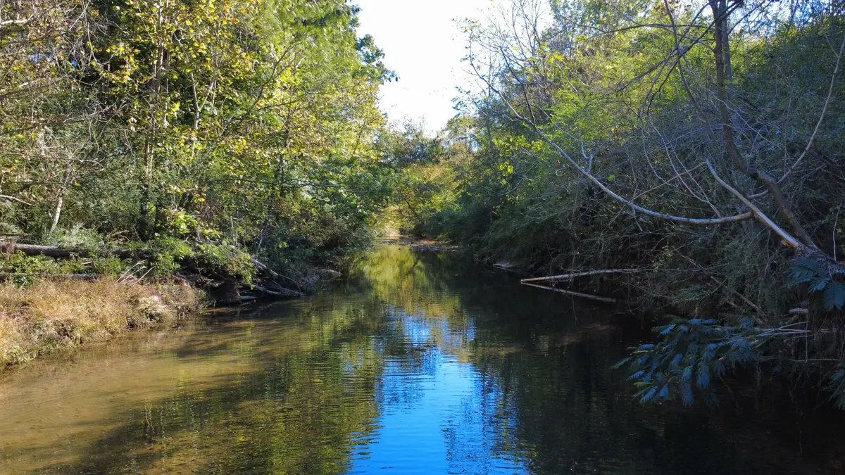0 Hooper Rd, Hohenwald, TN 38462 - #1