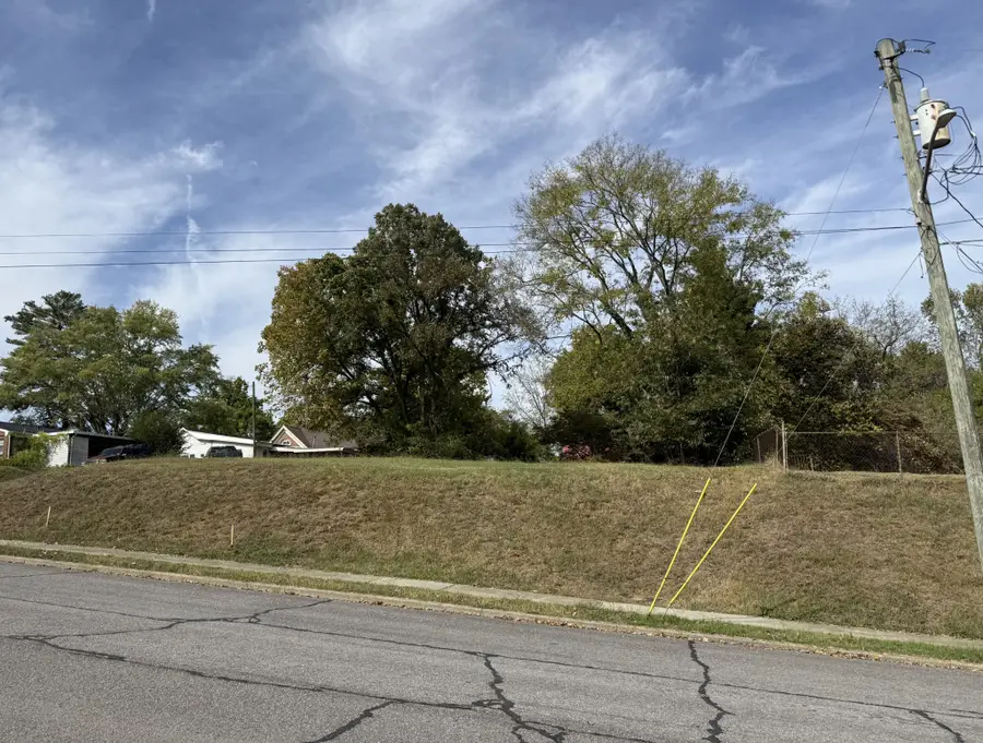 103 Third Ave E, Springfield, TN 37172 - #3